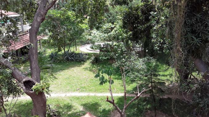 Isai Ambalam Guest House ポンディシェリ エクステリア 写真
