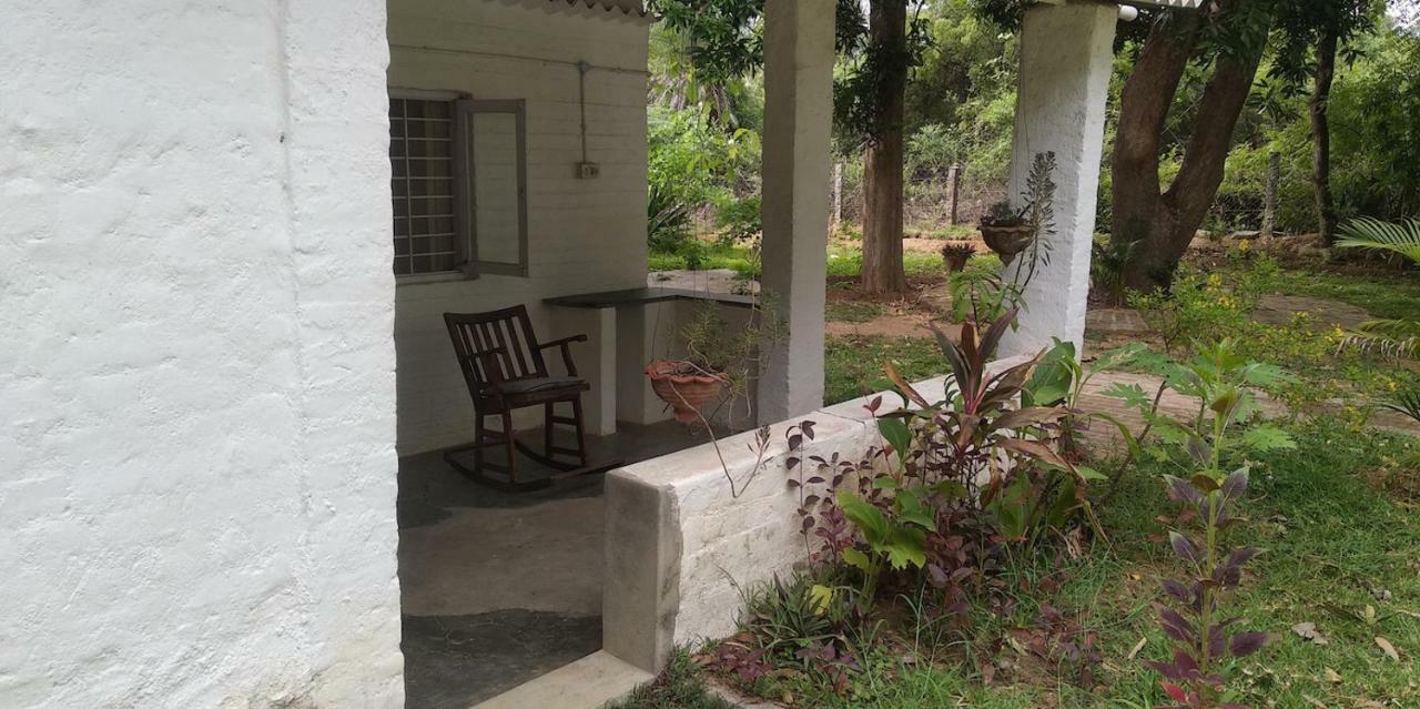 Isai Ambalam Guest House ポンディシェリ エクステリア 写真